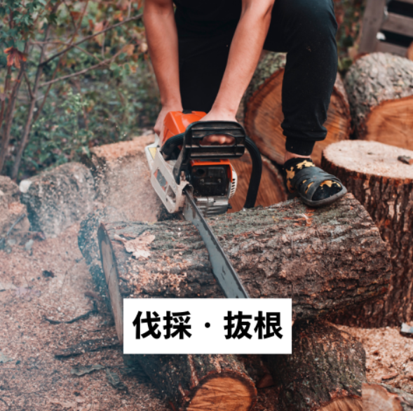 今井造園の紹介写真_2枚目