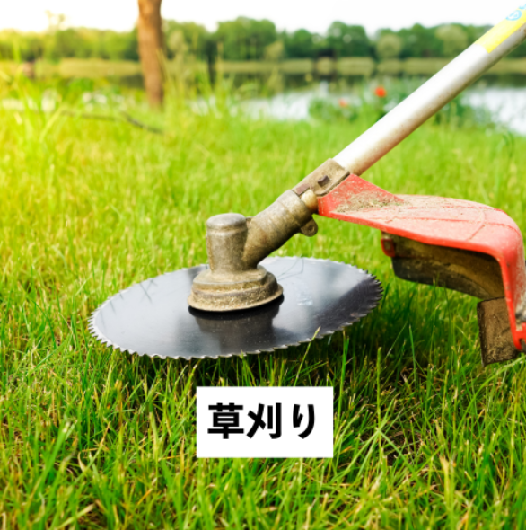の画像